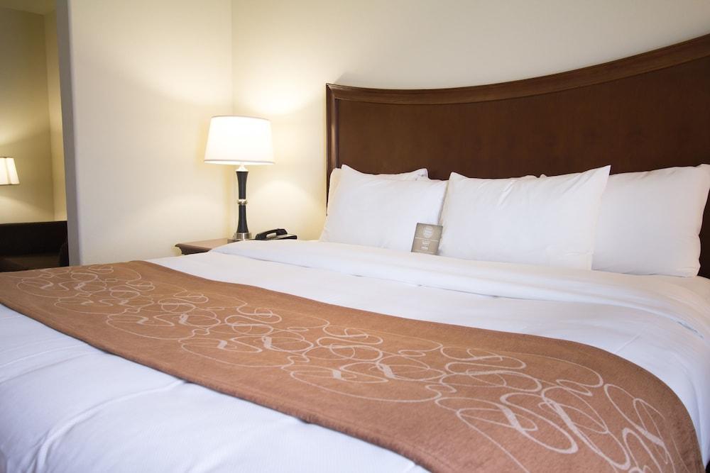Comfort Suites San Antonio North - Stone Oak Bagian luar foto