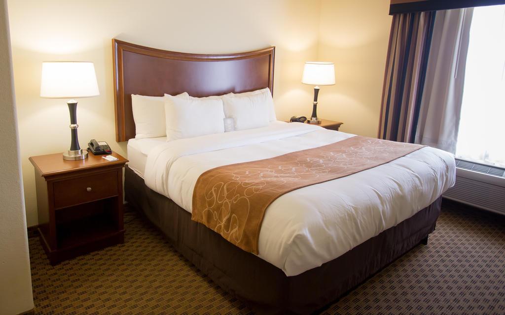 Comfort Suites San Antonio North - Stone Oak Bagian luar foto
