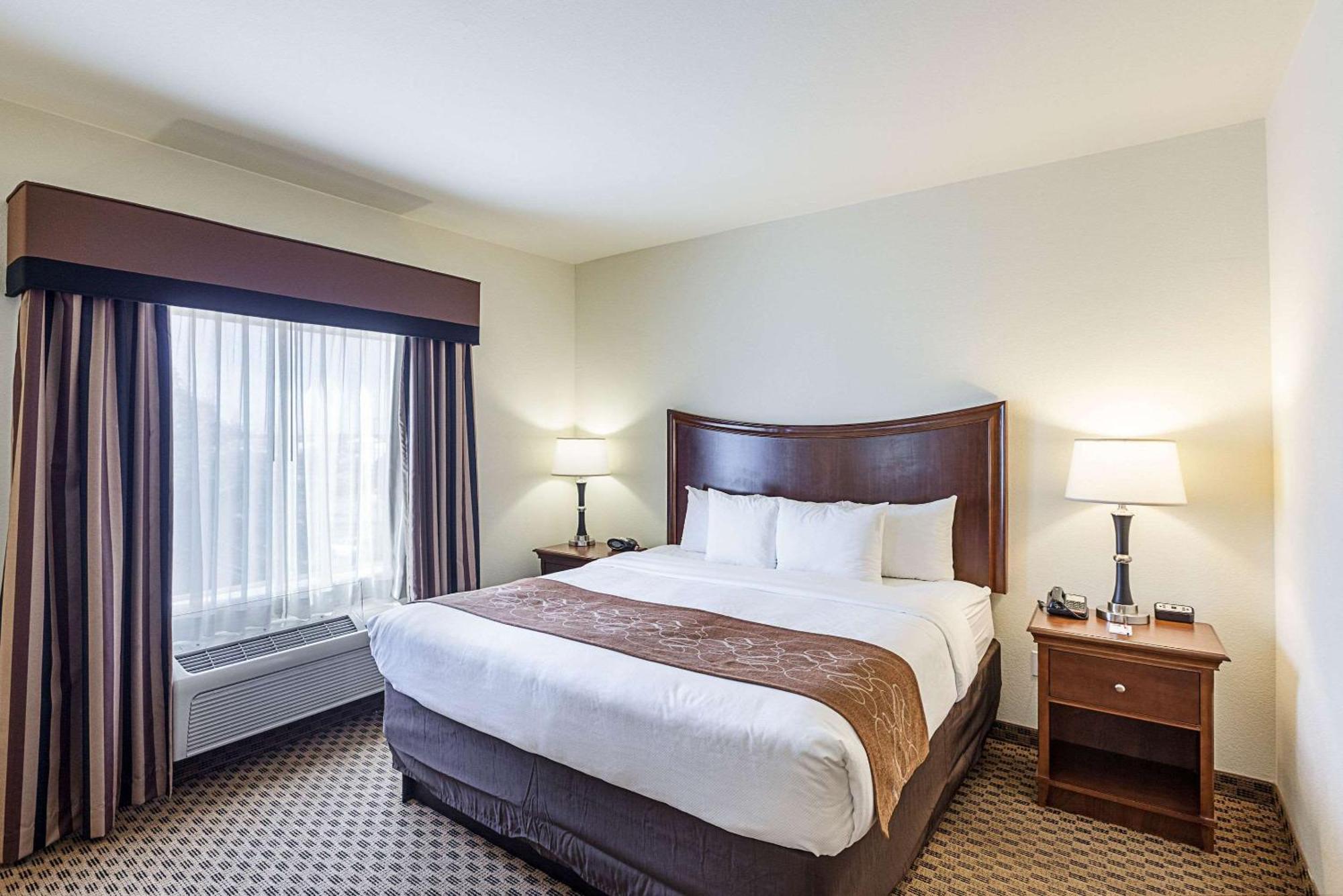 Comfort Suites San Antonio North - Stone Oak Bagian luar foto