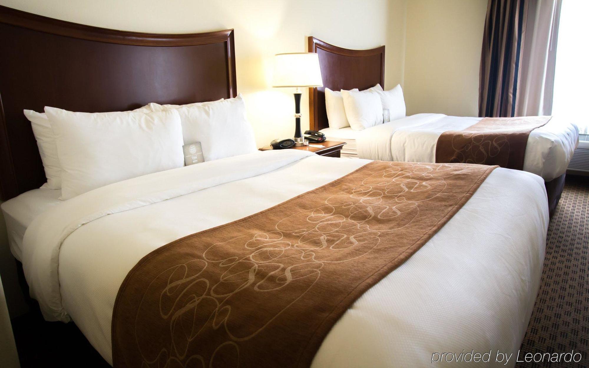 Comfort Suites San Antonio North - Stone Oak Bagian luar foto
